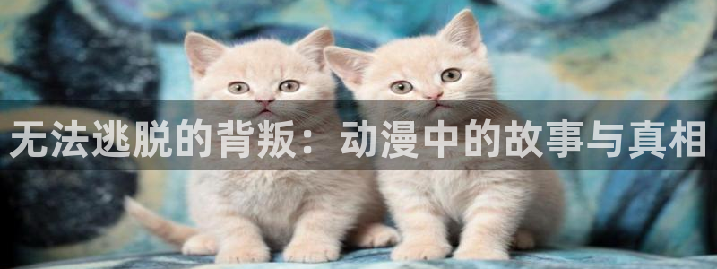 记得香蕉成熟时