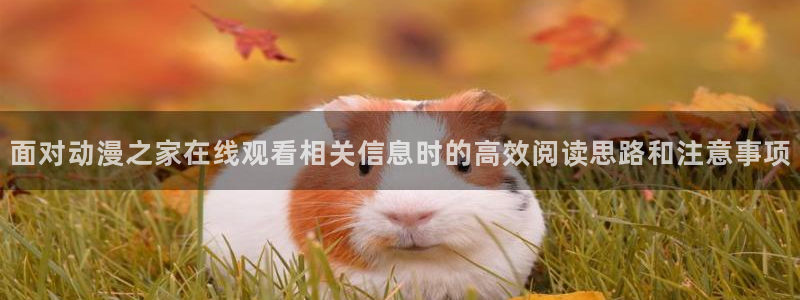 香蕉成熟时3：面对动漫之家在线观看相关信息时的高效阅读思路和注意事项