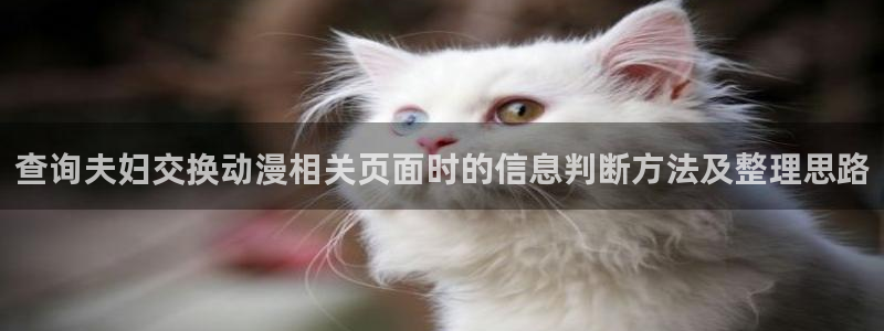 香蕉成熟时在线：查询夫妇交换动漫相关页面时的信息判断方法及整理思路